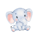 Daxiang , 大型象类动物便宜翻墙机场