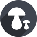 Mogu Cheap VPN, 蘑菇便宜翻墙机场